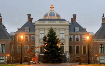 Geïmpregneerde Normann Kerstbomen