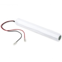 Accupack noodverlichting C-cel 4,8V 2,5Ah SBS