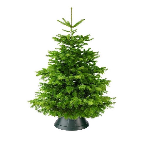 Kerstboom standaard antraciet voor een boom tot 3 meter