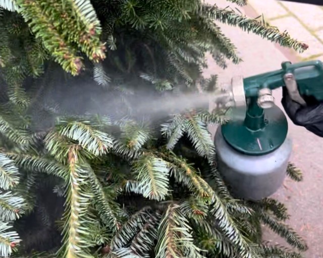Doe het zelf impregneermiddel kerstbomen 5 liter drukspuit