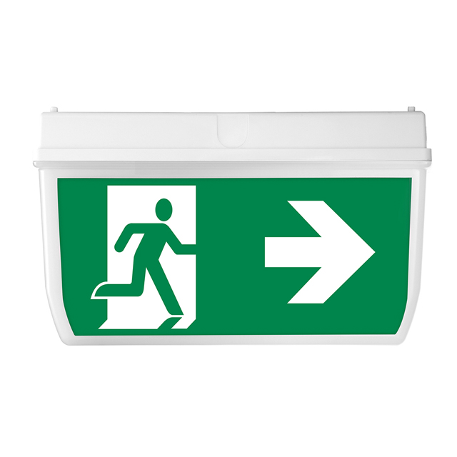 Noodverlichting LED plafond montage 3W met dubbelzijdige kap opbouw