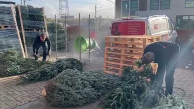 Impregneren van Kerstbomen op de Locatie van RH Brandbeveiliging BV