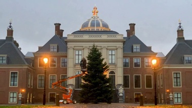 Geïmpregneerde Normann Kerstbomen