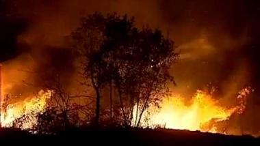 Fire Knock Out, de alles-in-een automatische brandblusser