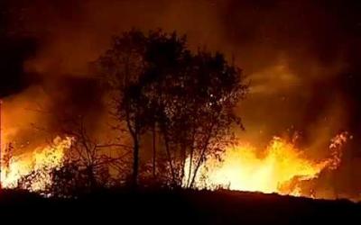 Fire Knock Out, de alles-in-een automatische brandblusser