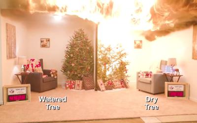 Kerstbomen zijn heel brandbaar!